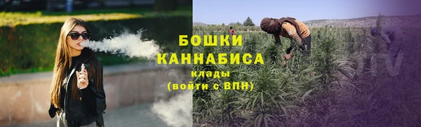 прущие крисы Богданович