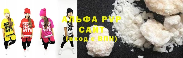 ECSTASY Богородицк