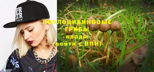 ECSTASY Богородицк