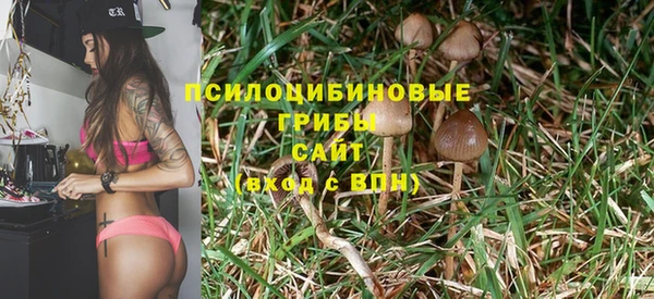 прущие крисы Богданович