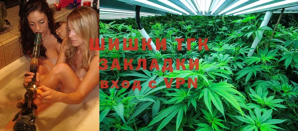 ECSTASY Богородицк